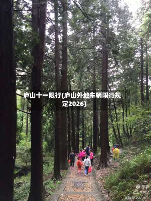 庐山十一限行(庐山外地车辆限行规定2026)