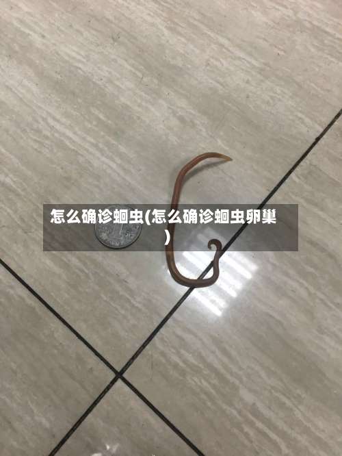 怎么确诊蛔虫(怎么确诊蛔虫卵巢)