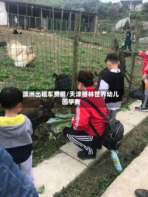 澳洲出租车费用/天津格林世界幼儿园学费