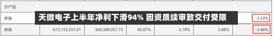天微电子上半年净利下滑94% 因资质续审致交付受限-第2张图片