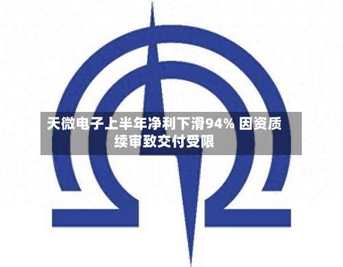 天微电子上半年净利下滑94% 因资质续审致交付受限-第3张图片