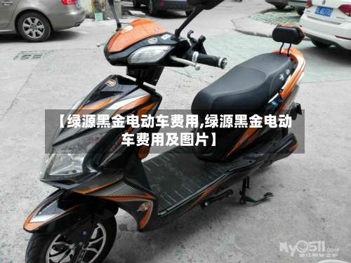 【绿源黑金电动车费用,绿源黑金电动车费用及图片】-第3张图片