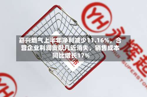嘉兴燃气上半年净利减少11.16%，合营企业利润贡献几近消失，销售成本同比增长17%-第2张图片