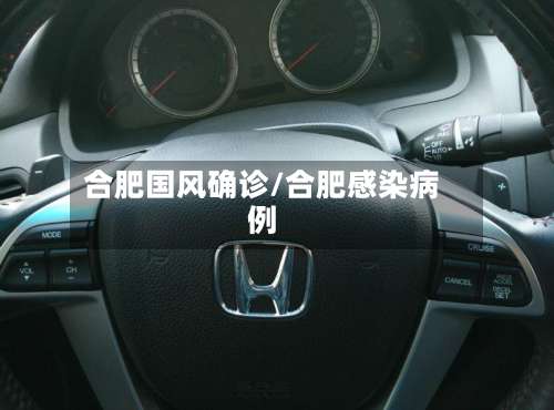 合肥国风确诊/合肥感染病例