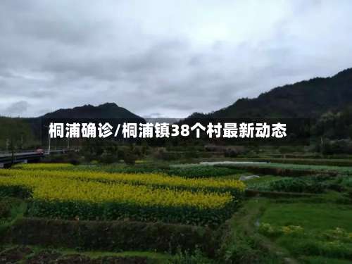 桐浦确诊/桐浦镇38个村最新动态-第3张图片