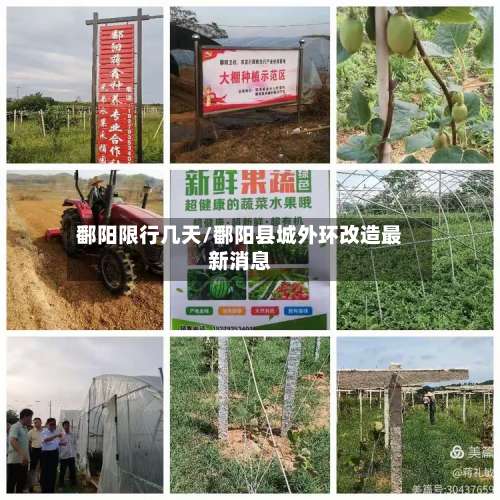鄱阳限行几天/鄱阳县城外环改造最新消息-第2张图片