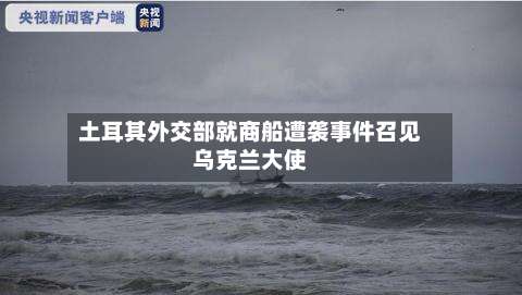 土耳其外交部就商船遭袭事件召见乌克兰大使