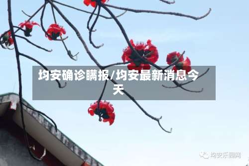 均安确诊瞒报/均安最新消息今天-第2张图片