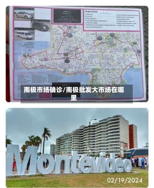 南极市场确诊/南极批发大市场在哪里