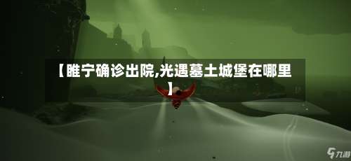 【睢宁确诊出院,光遇墓土城堡在哪里】