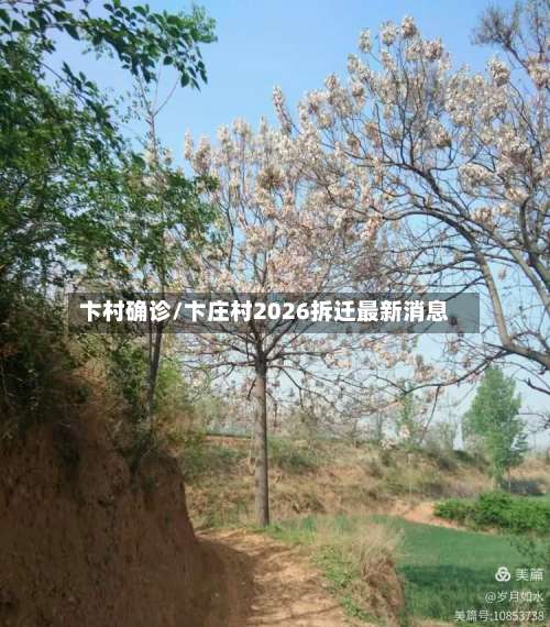 卞村确诊/卞庄村2026拆迁最新消息-第3张图片