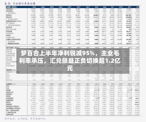梦百合上半年净利锐减95%，主业毛利率承压，汇兑损益正负切换超1.2亿元-第2张图片