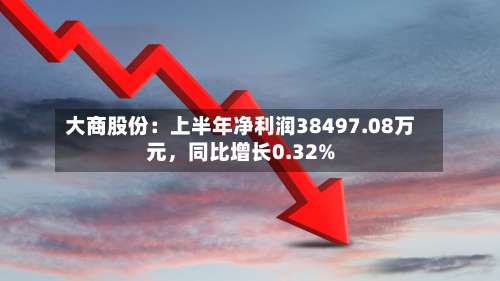 大商股份：上半年净利润38497.08万元，同比增长0.32%