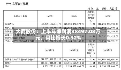 大商股份：上半年净利润38497.08万元	，同比增长0.32%-第2张图片