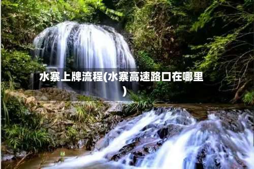 水寨上牌流程(水寨高速路口在哪里)