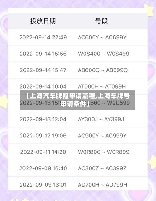 【上海汽车牌照申请流程,上海车牌号申请条件】-第2张图片