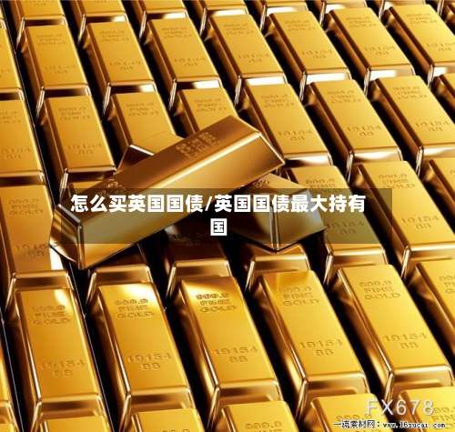 怎么买英国国债/英国国债最大持有国