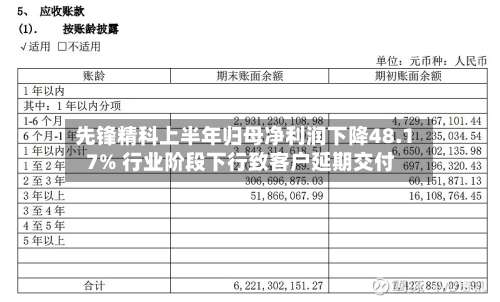 先锋精科上半年归母净利润下降48.17% 行业阶段下行致客户延期交付-第2张图片