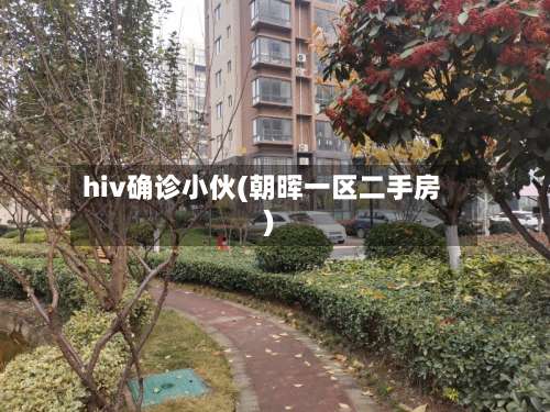 hiv确诊小伙(朝晖一区二手房)-第2张图片