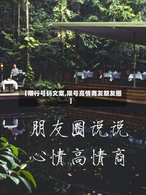 【限行号码文案,限号高情商发朋友圈】-第2张图片