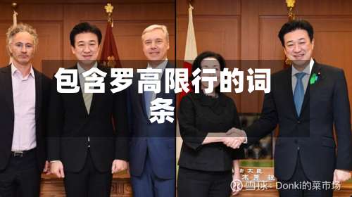包含罗高限行的词条