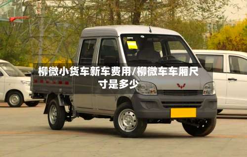 柳微小货车新车费用/柳微车车厢尺寸是多少-第2张图片