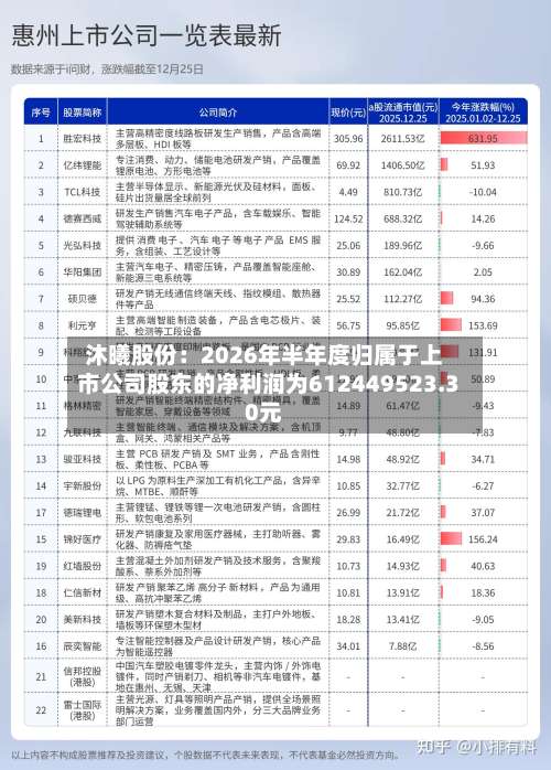 沐曦股份：2026年半年度归属于上市公司股东的净利润为612449523.30元-第3张图片