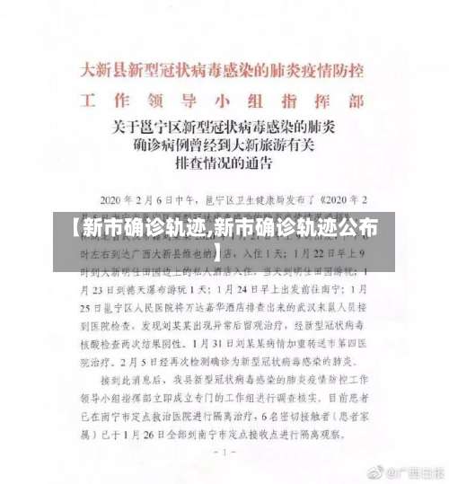 【新市确诊轨迹,新市确诊轨迹公布】-第3张图片