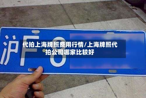 代拍上海牌照费用行情/上海牌照代拍公司哪家比较好