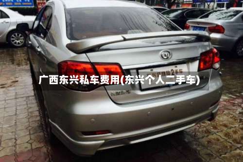 广西东兴私车费用(东兴个人二手车)-第3张图片