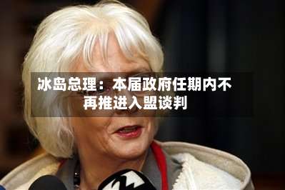 冰岛总理：本届政府任期内不再推进入盟谈判-第3张图片