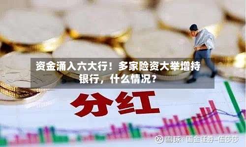 资金涌入六大行！多家险资大举增持银行，什么情况？-第2张图片
