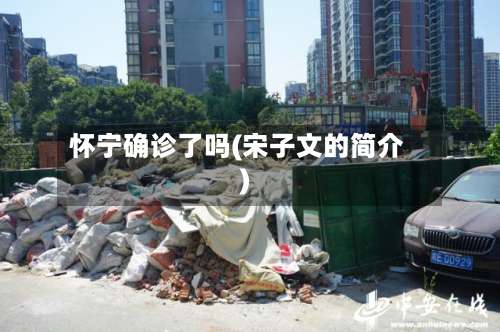 怀宁确诊了吗(宋子文的简介)-第3张图片