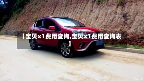 【宝贝x1费用查询,宝贝x1费用查询表】-第3张图片