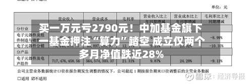 买一万元亏2790元！中加基金旗下 一基金押注“算力”踏空 成立仅两个多月净值跌近28%-第2张图片