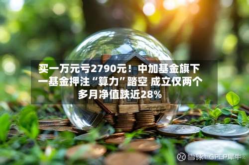 买一万元亏2790元！中加基金旗下 一基金押注“算力”踏空 成立仅两个多月净值跌近28%-第3张图片