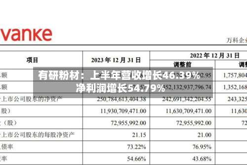 有研粉材：上半年营收增长46.39% 净利润增长54.79%