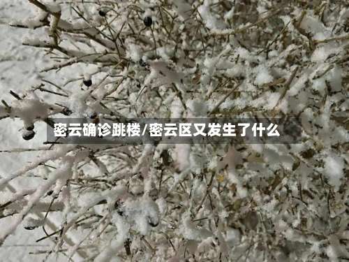 密云确诊跳楼/密云区又发生了什么-第2张图片