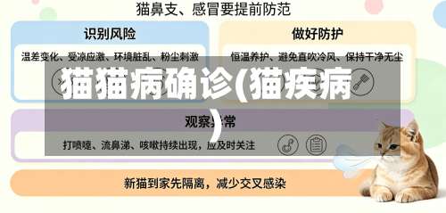 猫猫病确诊(猫疾病)-第2张图片