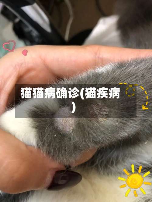 猫猫病确诊(猫疾病)-第3张图片