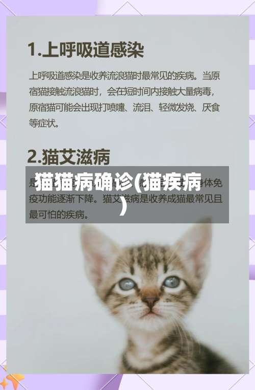 猫猫病确诊(猫疾病)