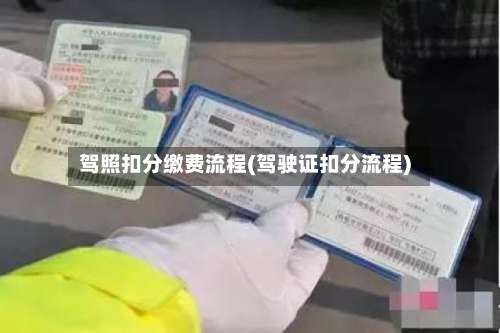 驾照扣分缴费流程(驾驶证扣分流程)-第2张图片