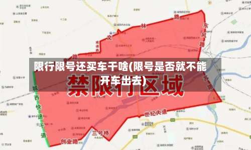限行限号还买车干啥(限号是否就不能开车出去)-第2张图片