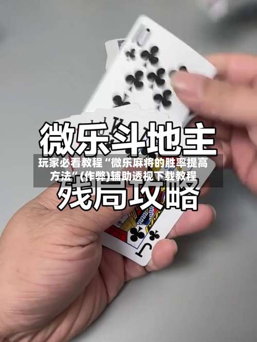 玩家必看教程“微乐麻将的胜率提高方法”(作弊)辅助透视下载教程-第2张图片