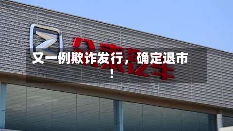 又一例欺诈发行，确定退市！-第2张图片