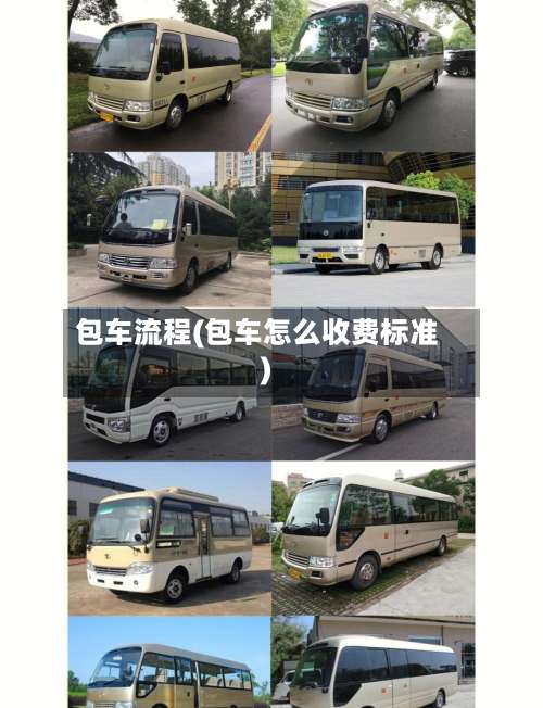 包车流程(包车怎么收费标准)-第2张图片