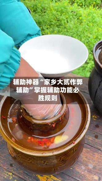 辅助神器“家乡大贰作弊辅助	”掌握辅助功能必胜规则-第2张图片