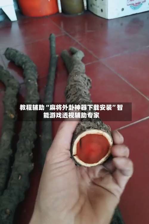 教程辅助“麻将外卦神器下载安装	”智能游戏透视辅助专家-第2张图片