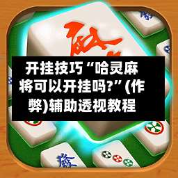 开挂技巧“哈灵麻将可以开挂吗?”(作弊)辅助透视教程-第3张图片