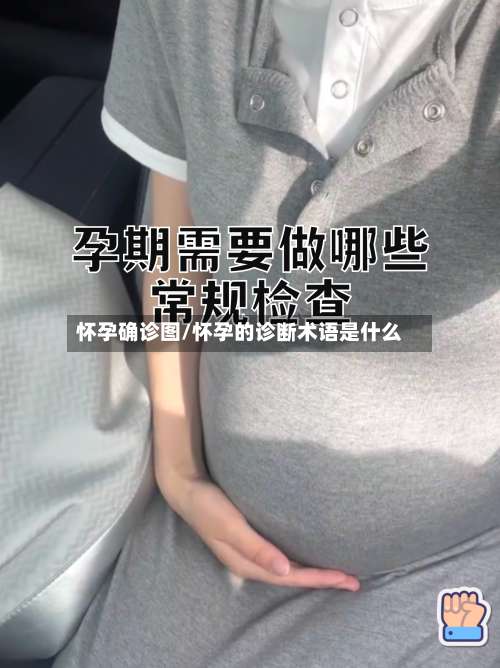 怀孕确诊图/怀孕的诊断术语是什么-第2张图片